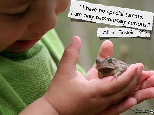 I have no special talents. I am only passionately curious. - Albert Einstein