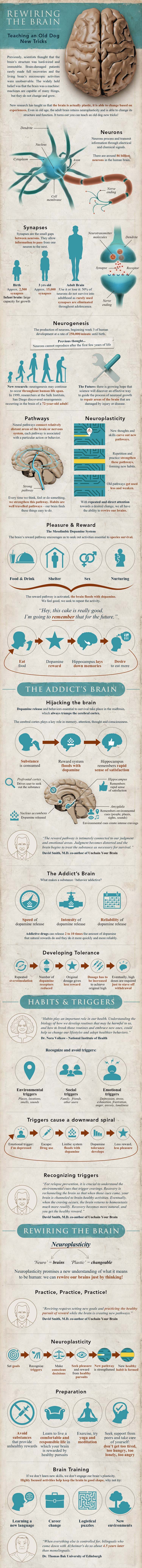 Learning and neuroplasticity infographic