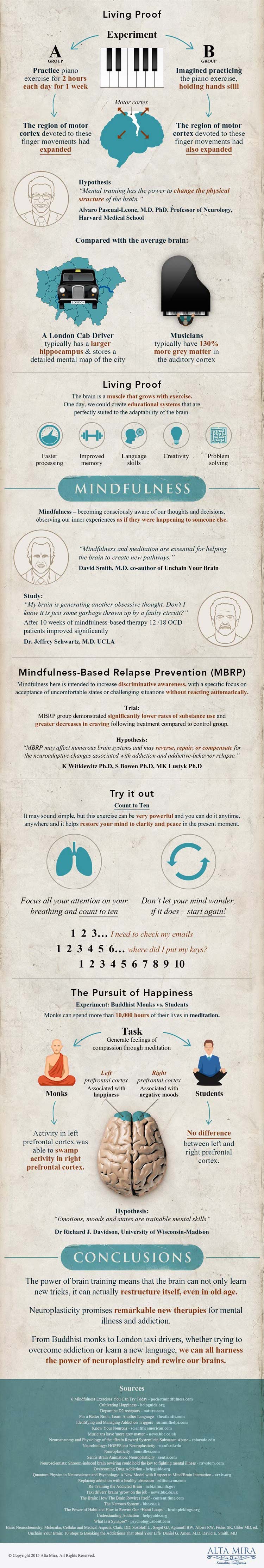 Learning and neuroplasticity infographic (Part 2)