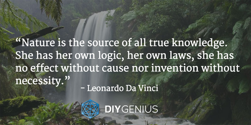 “Nature is the source of all true knowledge. She has her own logic, her own laws, she has no effect without cause nor invention without necessity.” - Leonardo Da Vinci (Quote)