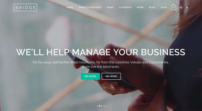 Bridge WordPress Theme