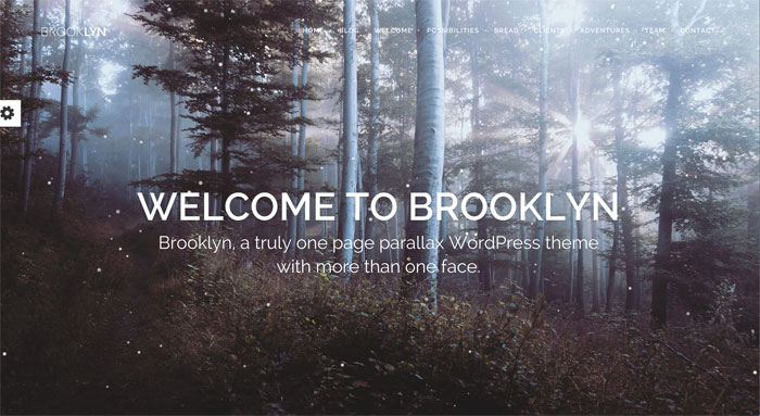 Brooklyn WordPress Theme