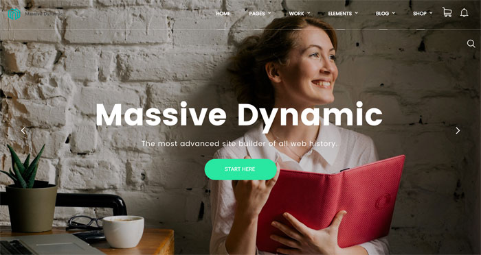 Massive Dynamic WordPress Theme