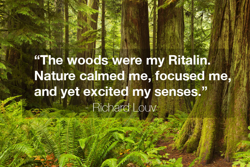 "The woods were my Ritalin. Nature calmed me, focused me, and yet excited my senses." - Richard Louv Quote, from Last Child In The Forest