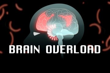 Digital Brain Overload