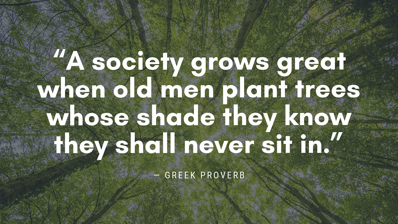 Greek Proverb Wisdom