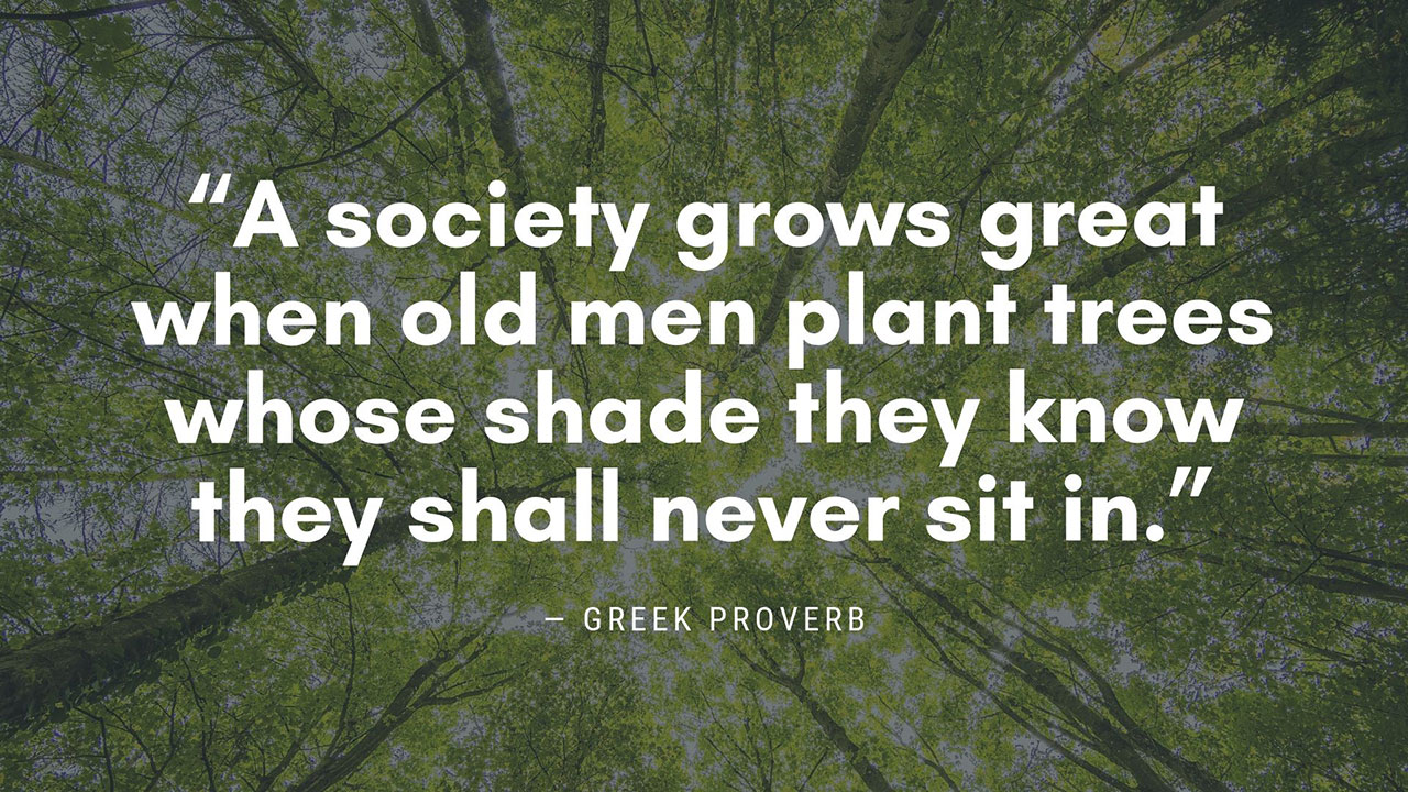 Living Wisdom: 100+ Profound Nature Quotes Proverbs