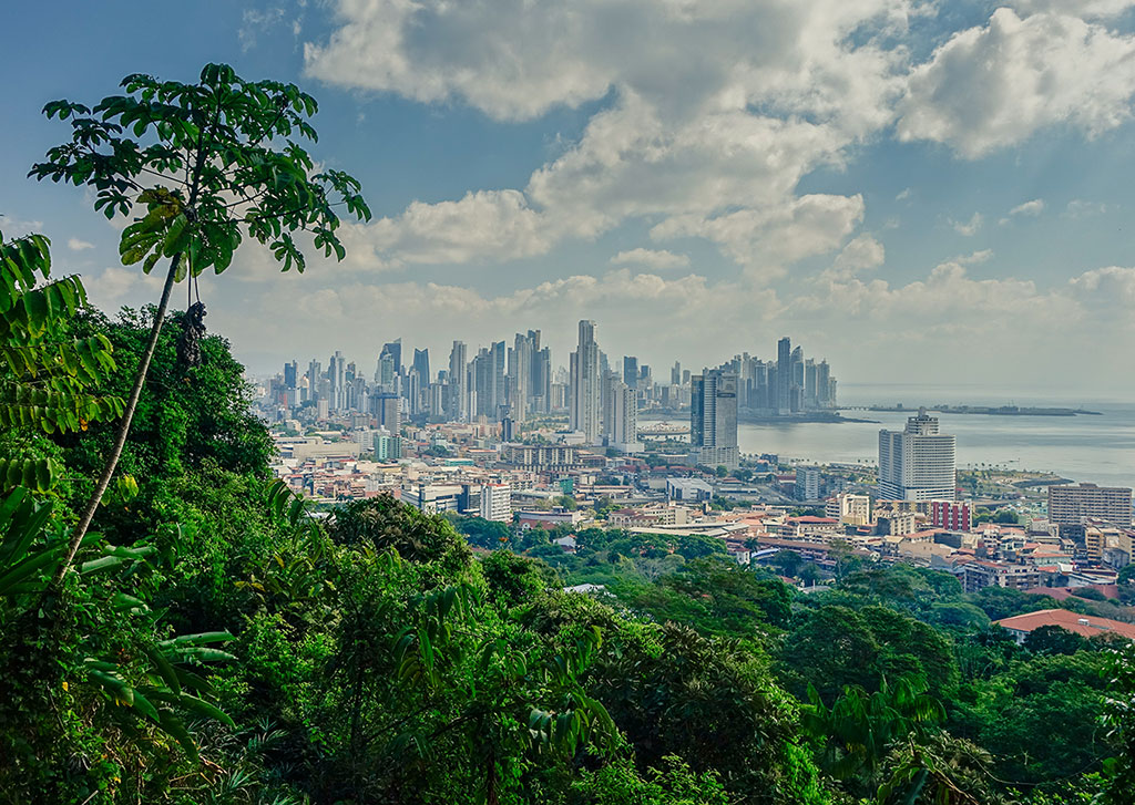 Panama City Nature View