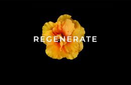 Regenerate Documentary