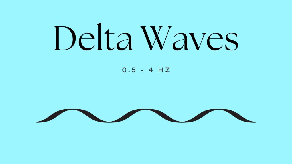 Delta Brain Waves (0.5 - 4 Hz)
