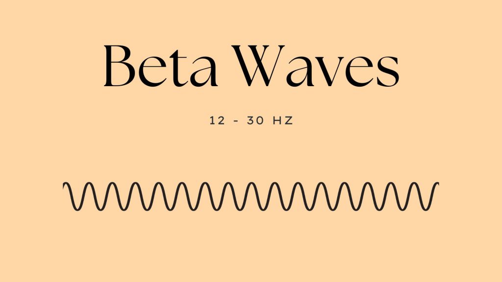 Beta Brain Waves (12 - 30 Hz)