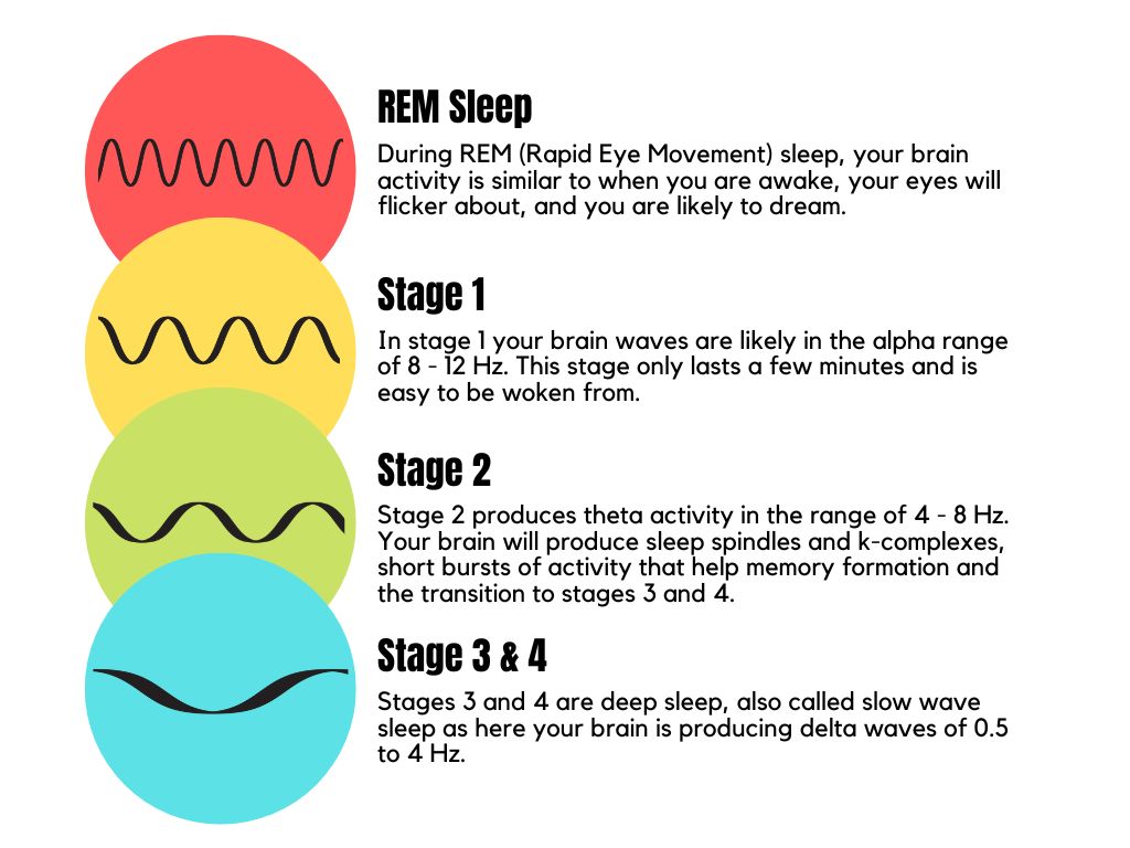 4 Stages of Sleep, REM Sleep, Deep Sleep And Brain Waves
